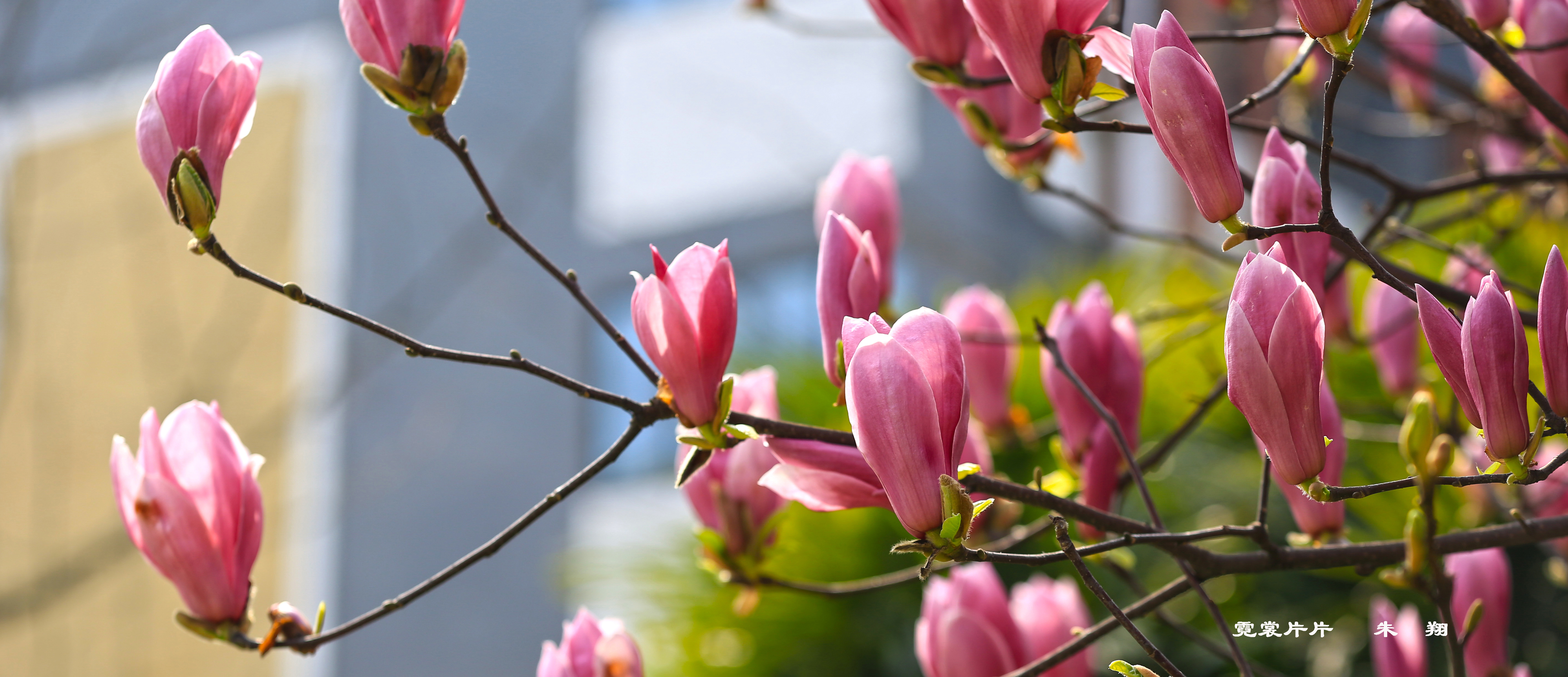 英国365(集团)公司官方网站